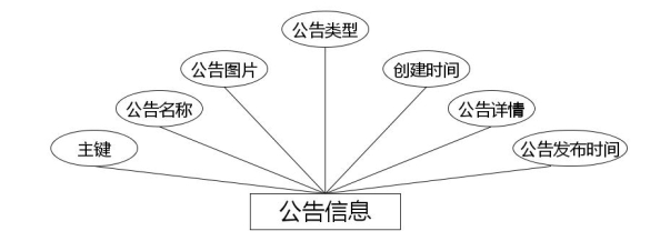 图 4.2 公告信息实体属性图