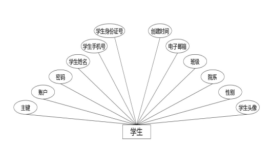 图 4.4 学生实体属性图