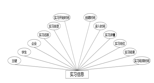 图 4.5 实习信息实体属性图