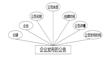 图 4.6 企业发布的公告实体属性图