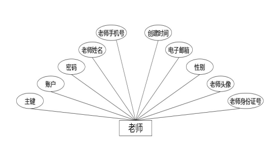 图 4.7 老师实体属性图