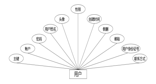 图 4.2 用户实体属性图