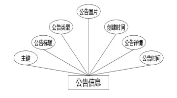 图 4.5 公告信息实体属性图