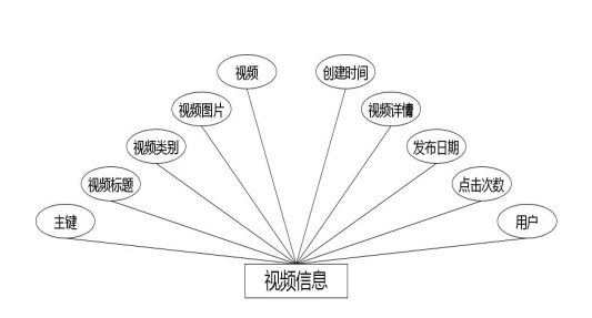 图 4.9 视频信息实体属性图