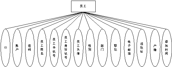 图 4.6 员工实体属性图