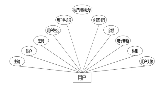 图 4.2 用户实体属性图