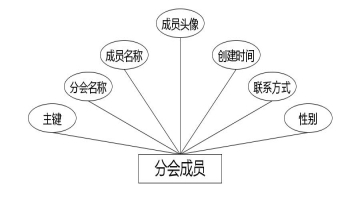 图 4.2 分会成员实体属性图