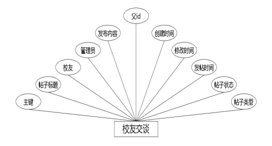 图 4.3 校友交谈实体属性图