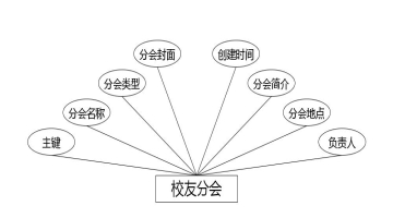 图 4.4 校友分会实体属性图