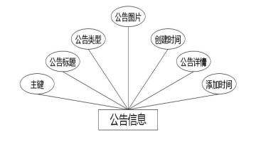 图 4.5 公告信息实体属性图