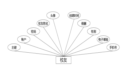 图 4.7 校友实体属性图