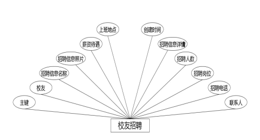 图 4.9 校友招聘实体属性图